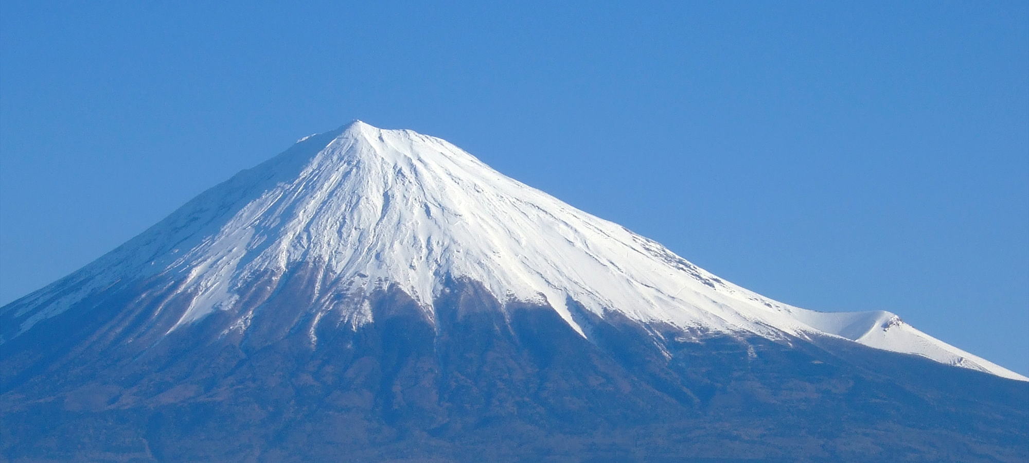 青富士.jpg