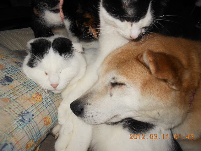 DSCN3143.JPG
