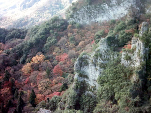 C:\fakepath\shodoshima030.jpg