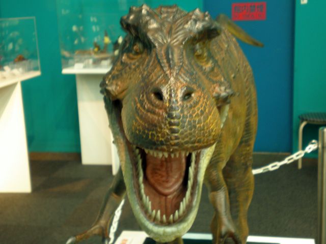 080916dinasour.jpg