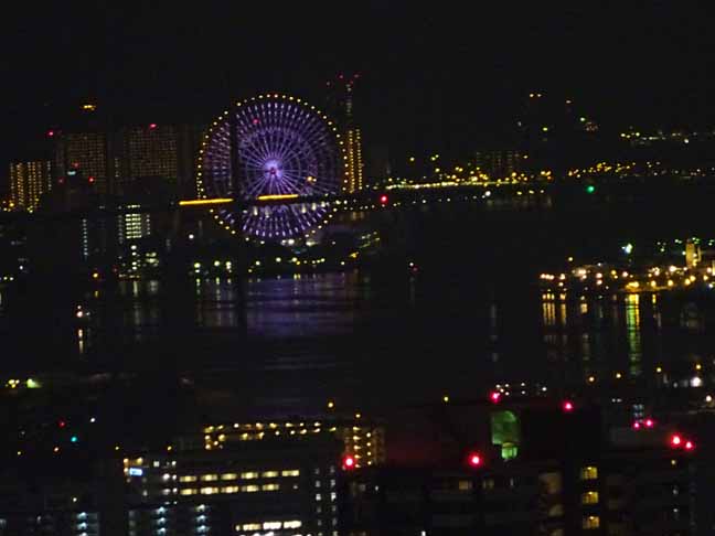 大阪 空中庭園から (1).JPG