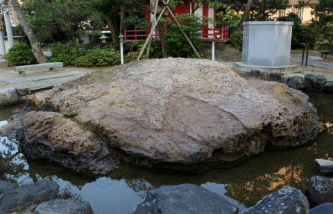 H41A0150.JPG