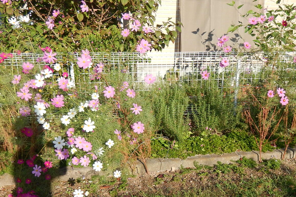 140928-2-2.jpg