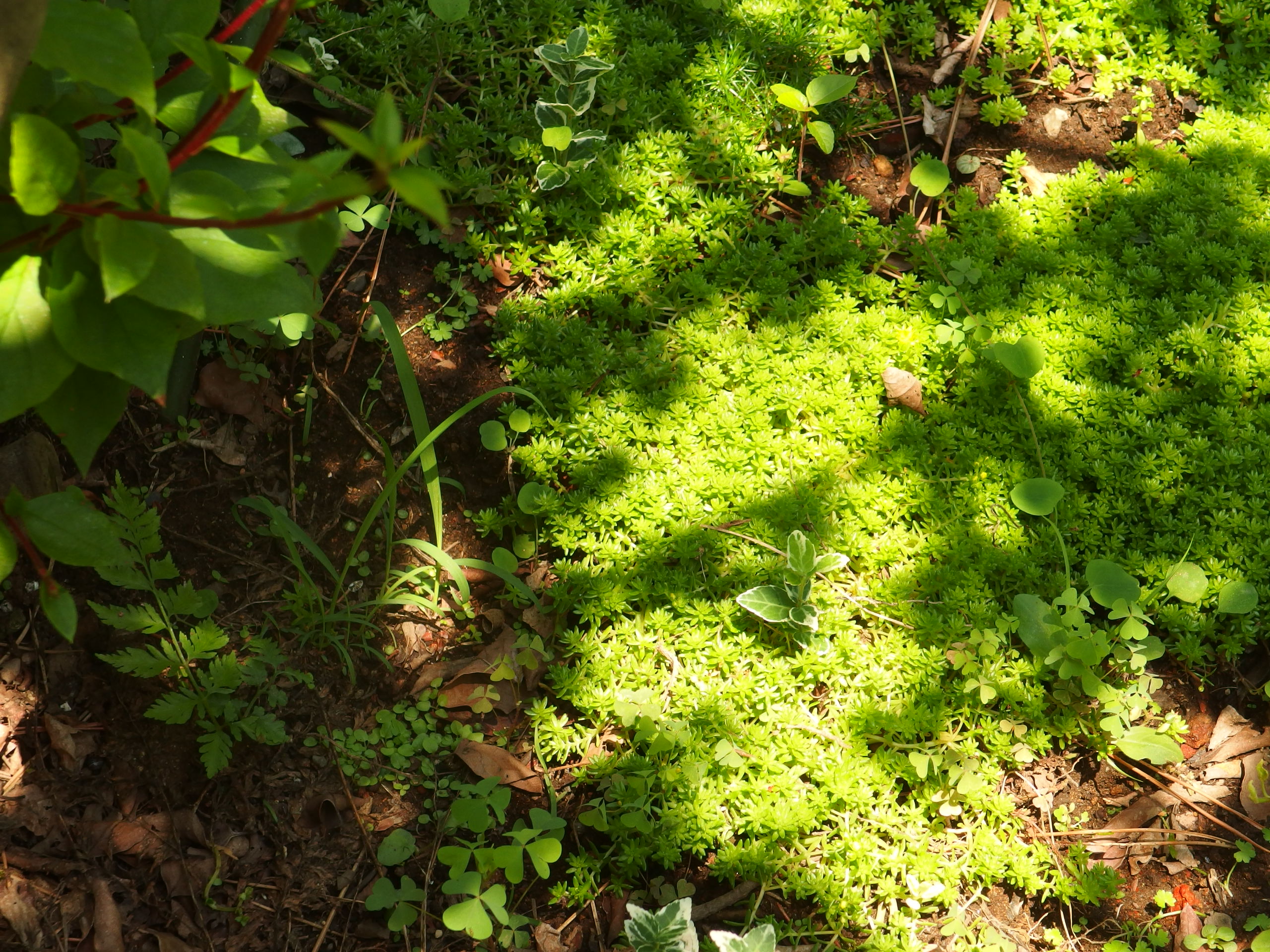 2015-06-24 10.46.08.jpg