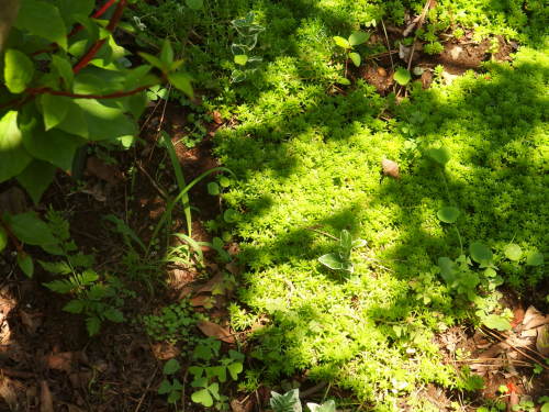 2015-06-24 10.46.08.jpg