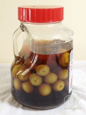 130614 梅酒 漬け始めて まる１２日