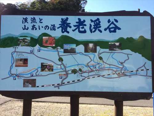 20141119 13351801.JPG