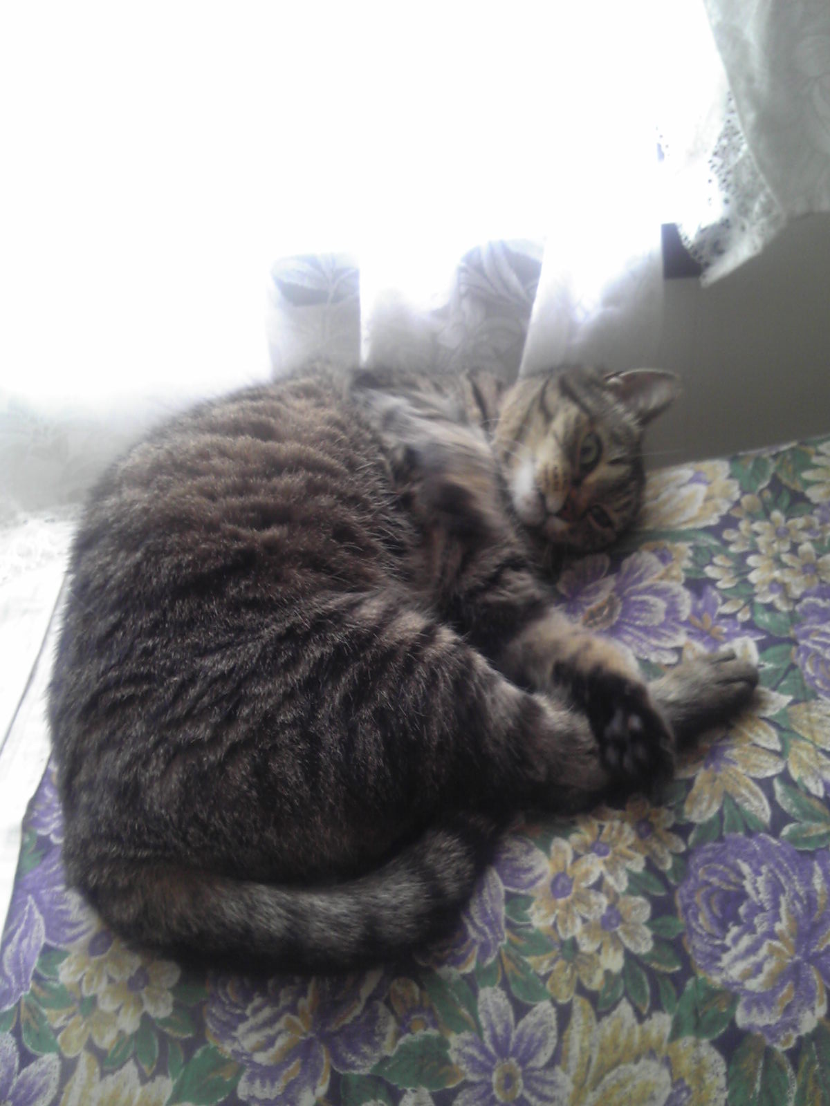 180528_124204.jpg