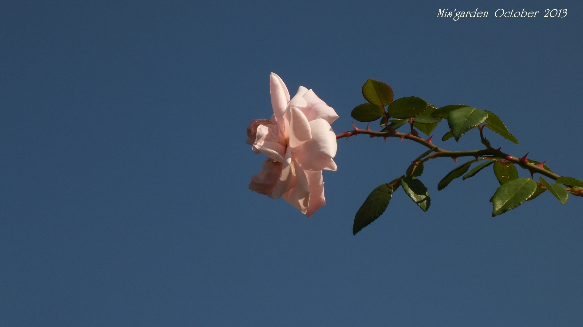 DSCF0883.JPG