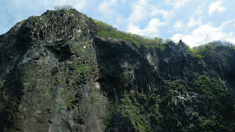 IMGP0031.jpg