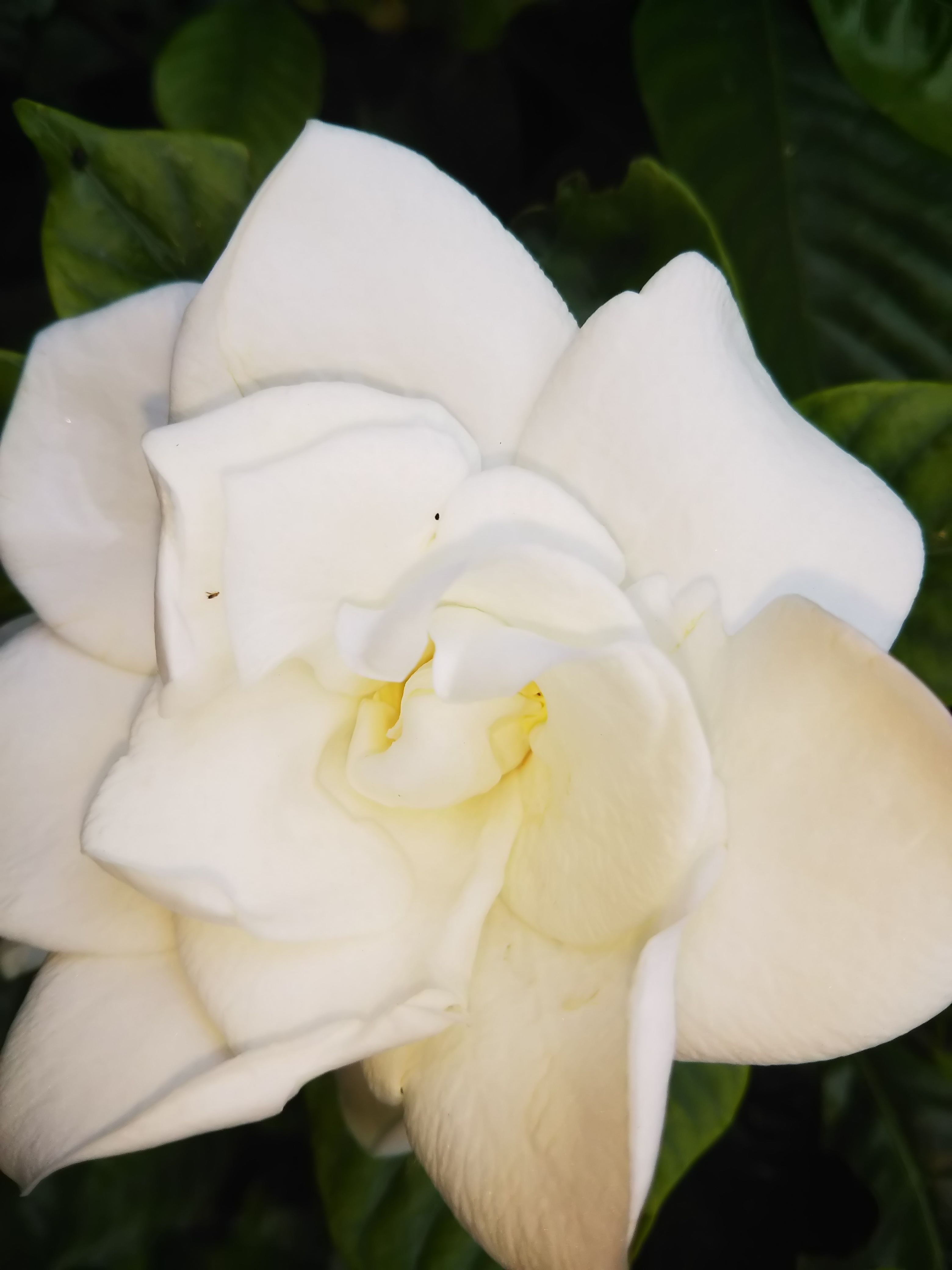 DSC_0351.JPG