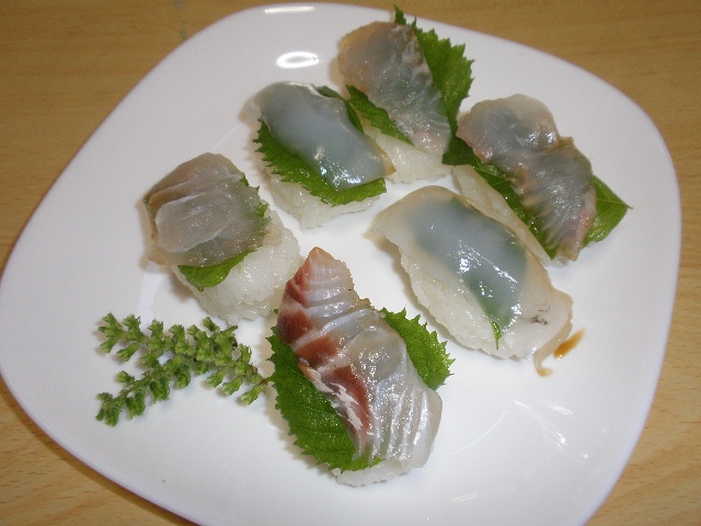 PA051624-1.jpg