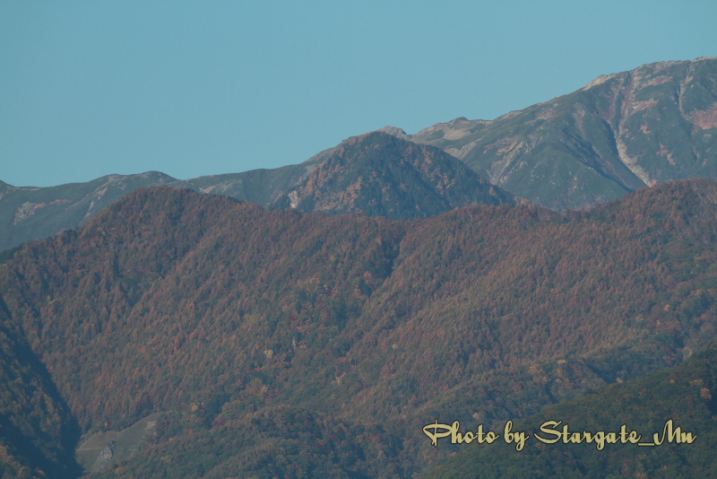 IMG_7886.jpg