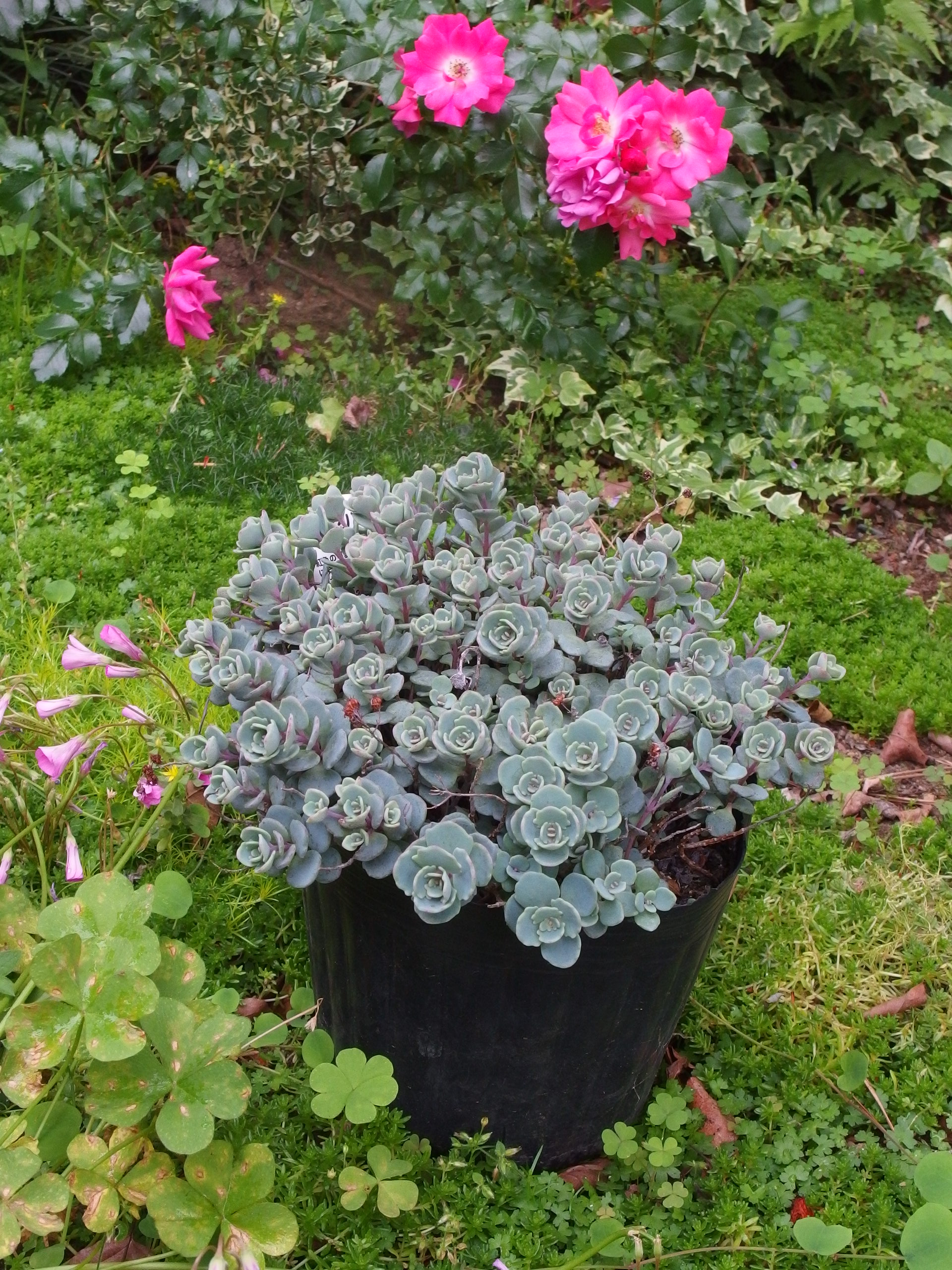 2015-06-05 15.42.51.jpg