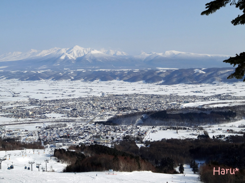 0102富良野２.jpg