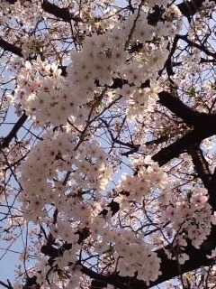 おそらく今シーズン最後2014