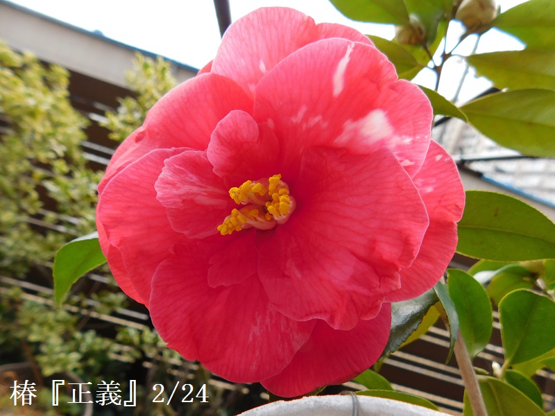 DSCN0301.JPG