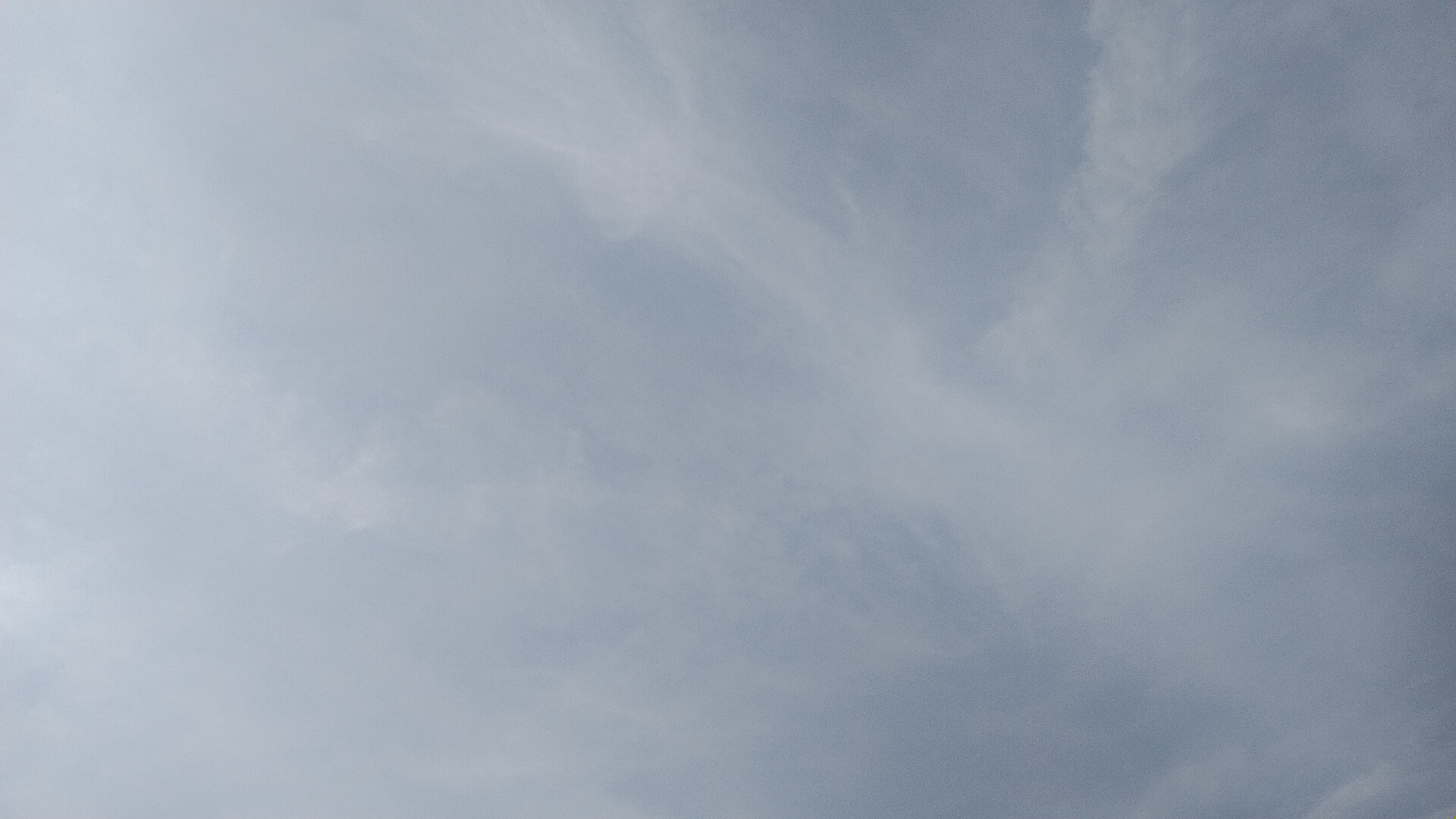20220802  DSC_0003.jpg