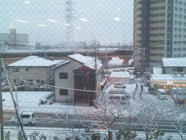久しぶりの積雪