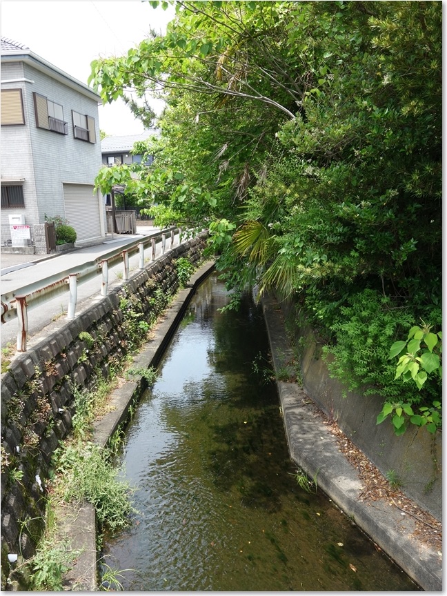 40こんな水路（堀？）です