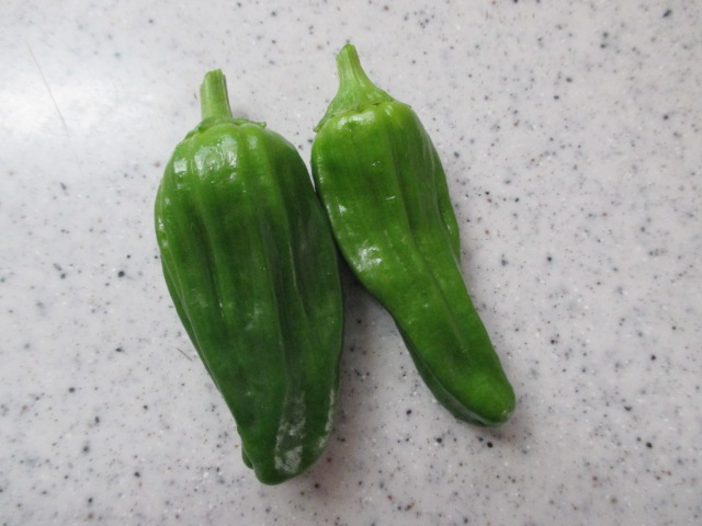 pi20160530.JPG