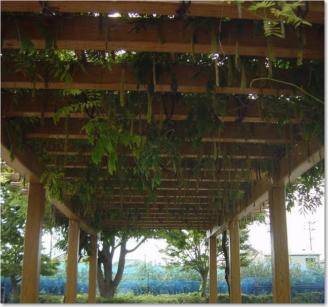 36あづまやの屋根