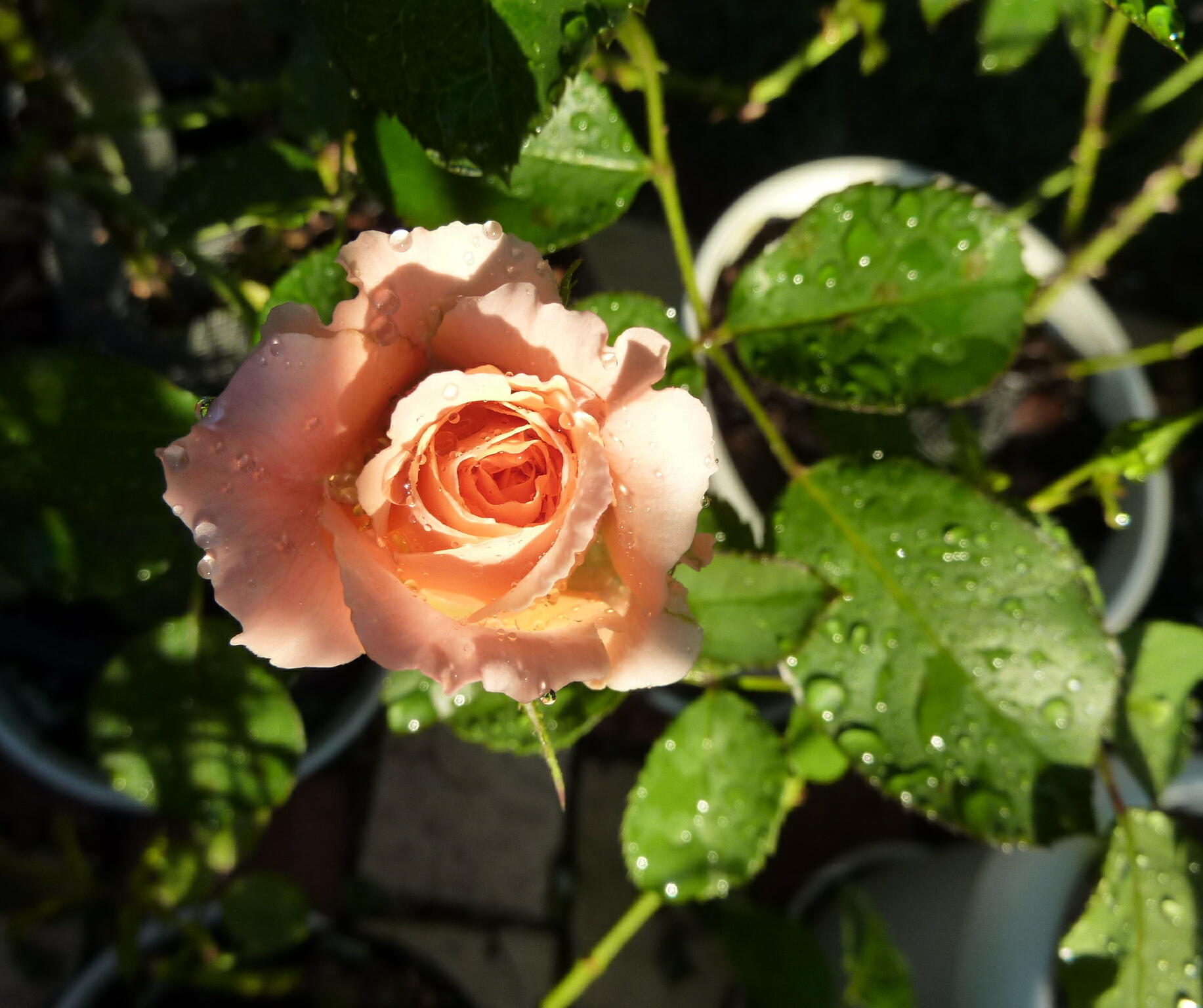 130922-6-0.jpg