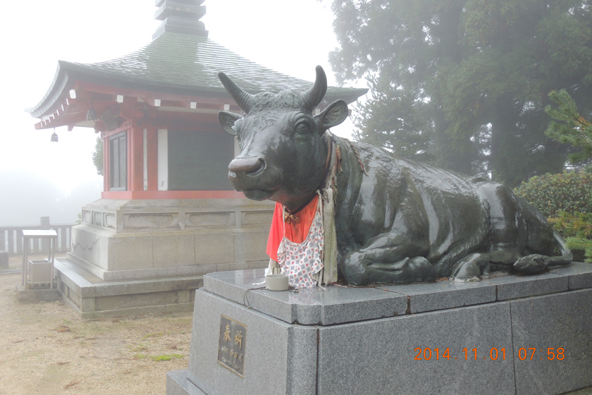 DSCN2106w.jpg