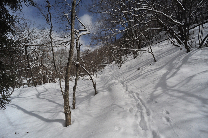 新穂高ロープウエー～西穂山荘201403181.jpg