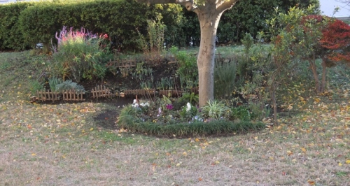 DSCF6761 (800x425).jpg