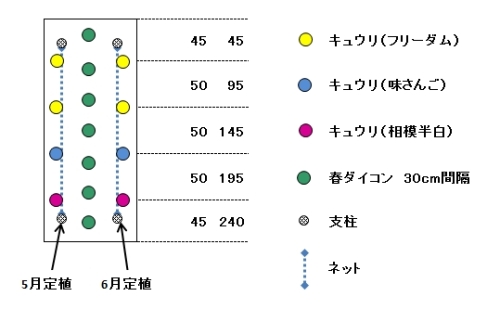 03キュウリ配置図