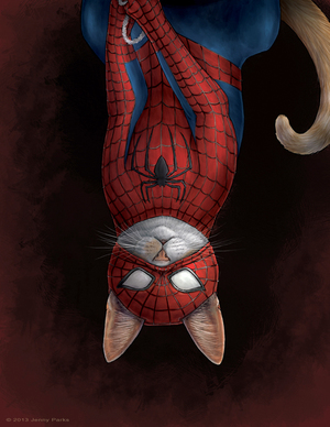 spideycatweb.jpg