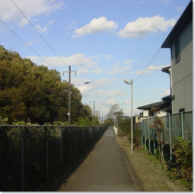 25こんな道です