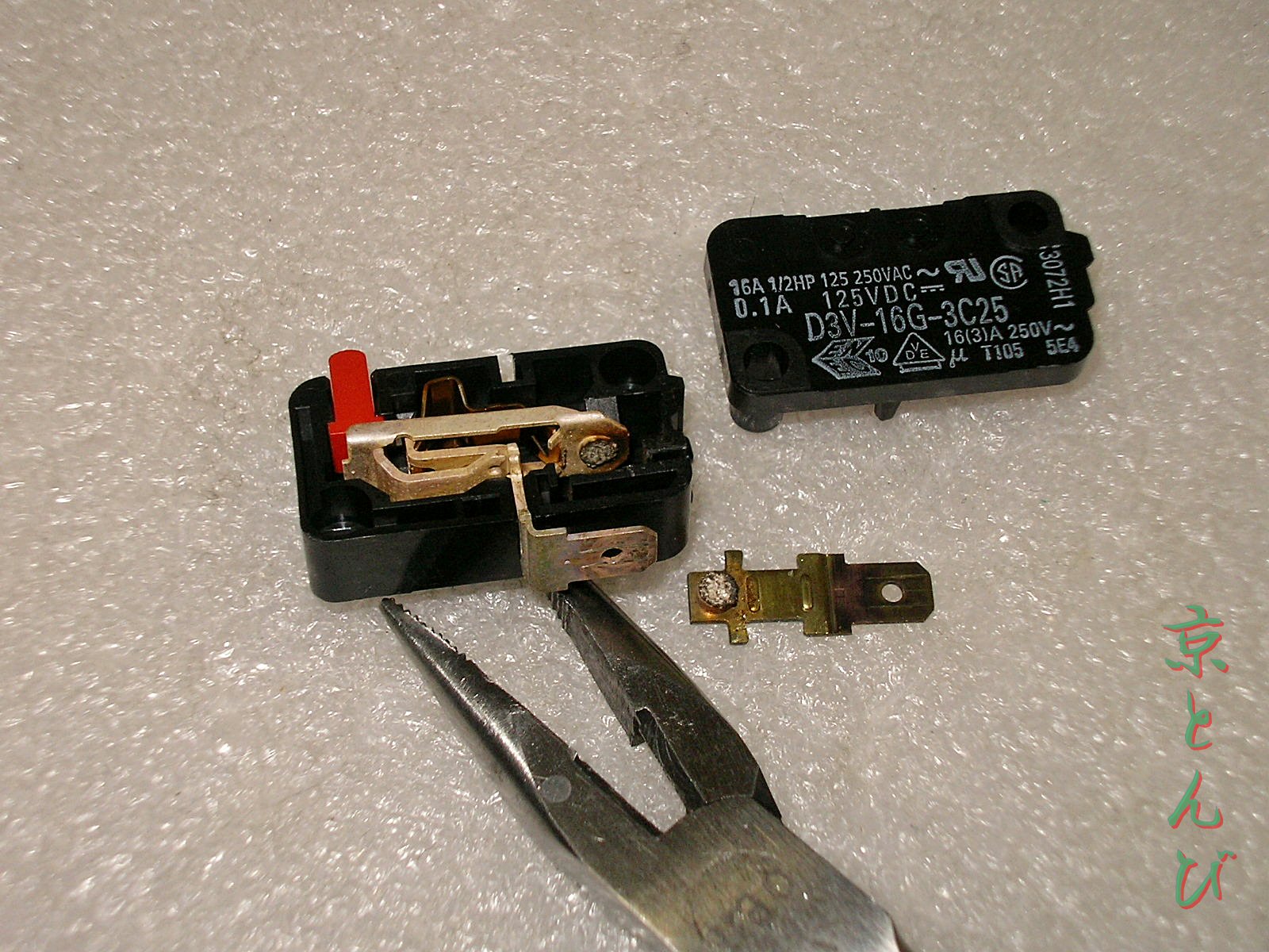 SANY0479.JPG