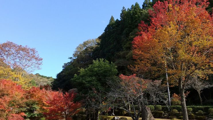 中津ダム渓石園 (4).jpg