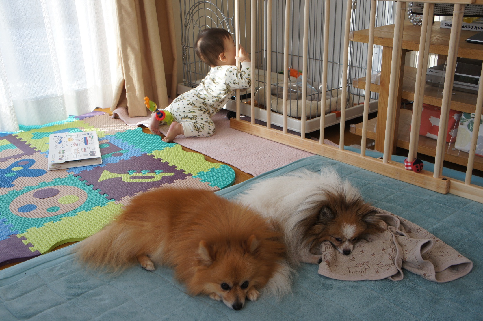 DSC05377.JPG
