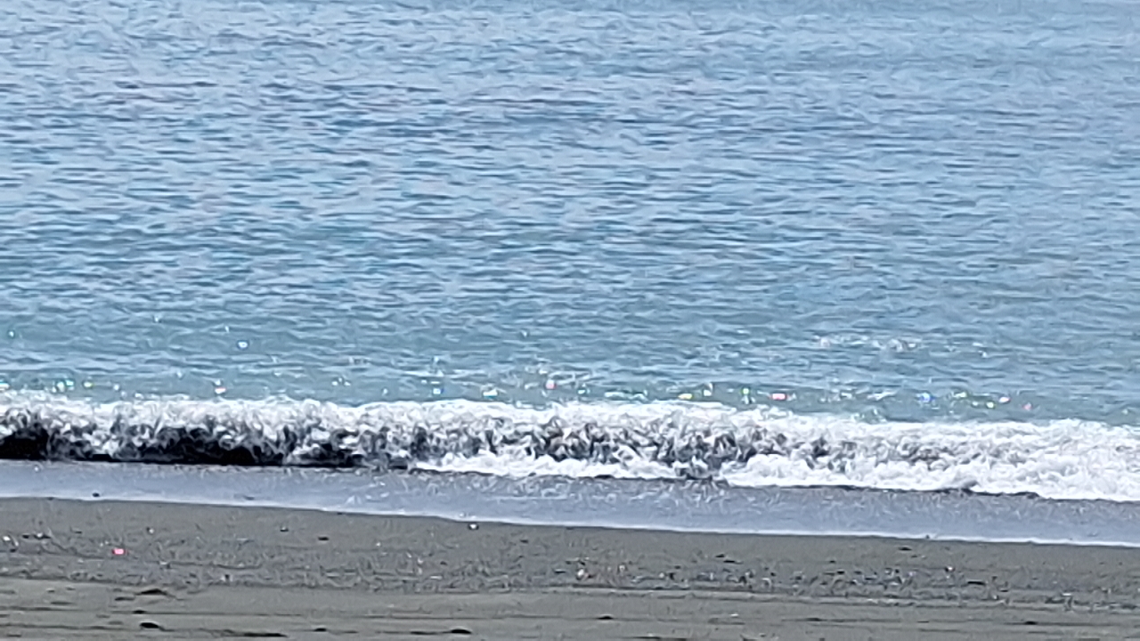 IMG_20250515_101051.jpg