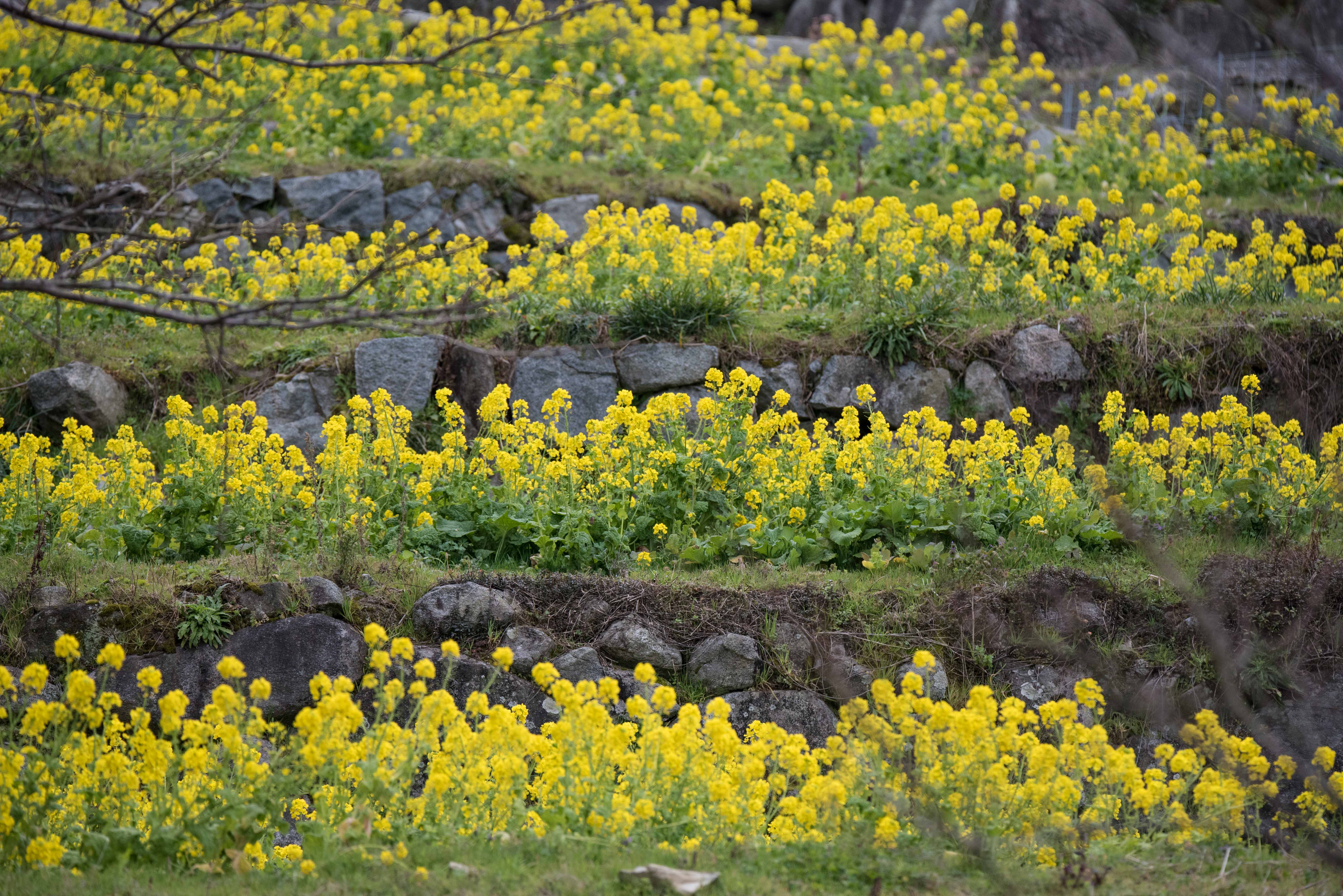 DSC_3893.jpg
