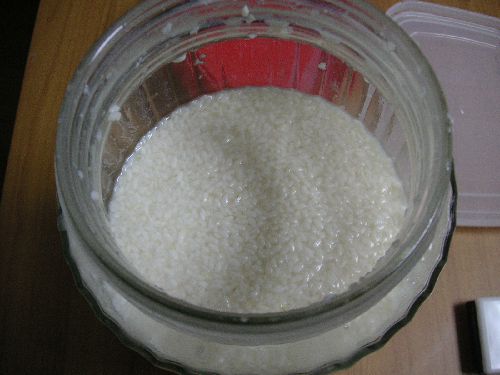 PICT0031.JPG