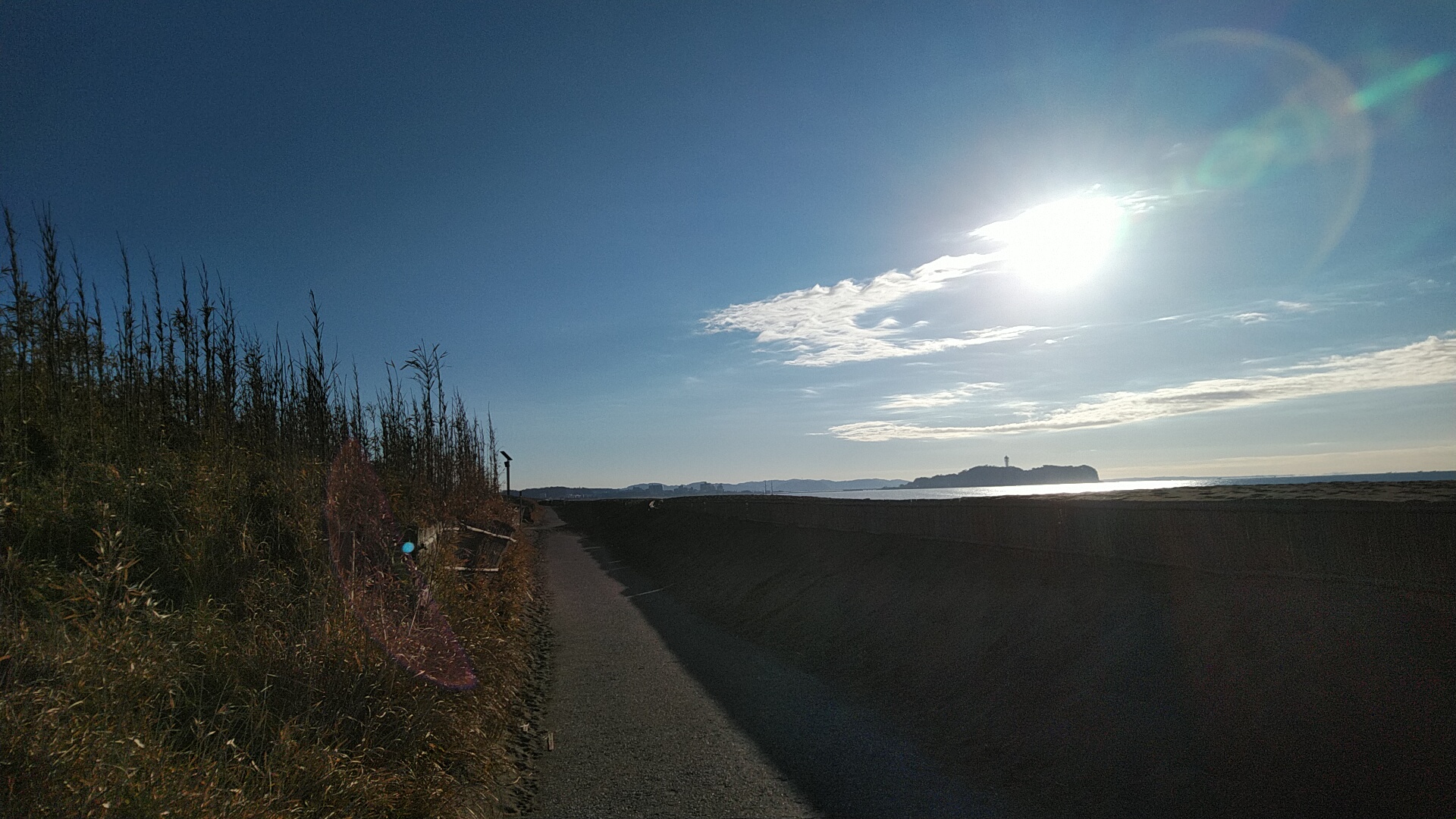 20220103  DSC_0001.jpg