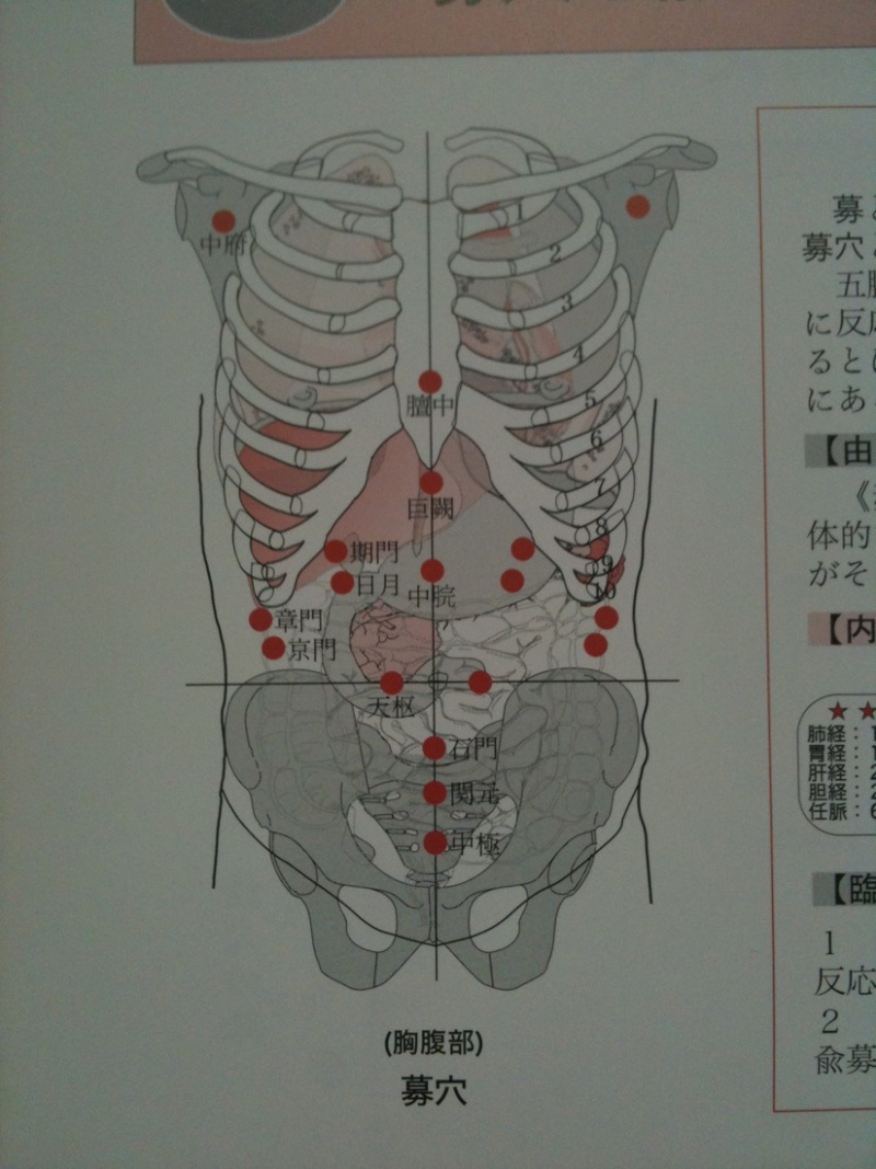 募穴.jpg