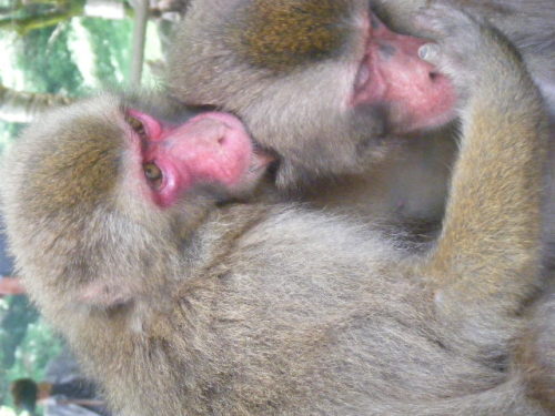 仲のいい姉弟 (2).JPG