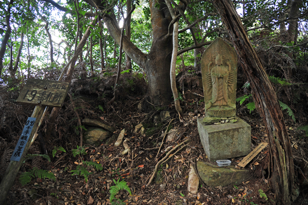 DSC_8492１９番札所.jpg