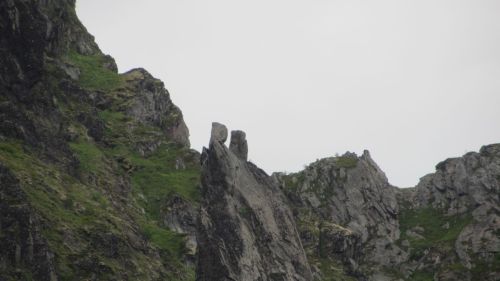 IMG_5562.JPG