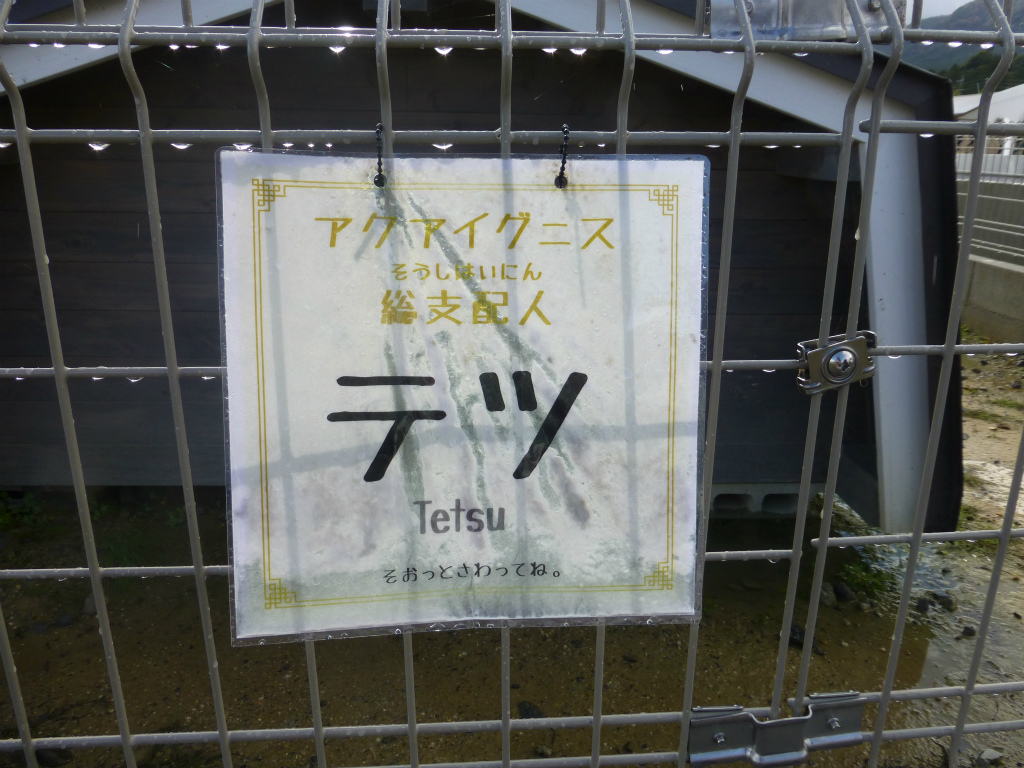 P1010484.jpg