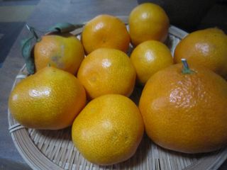 画像 957.jpg