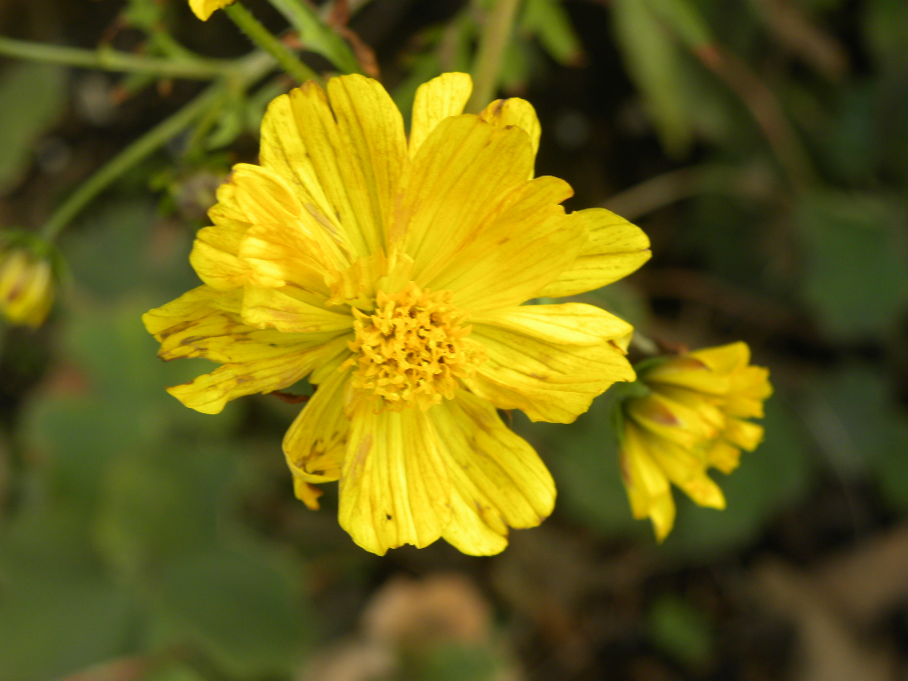 DSCN9466.JPG