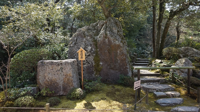 20160323 11051801.JPG