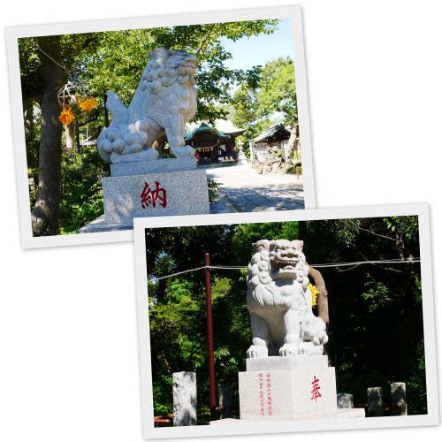 2020-09-04習志野 菊田神社2.jpg