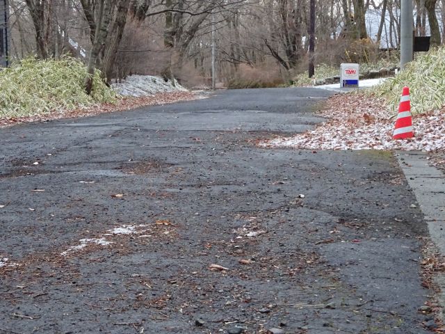 201214road.jpg